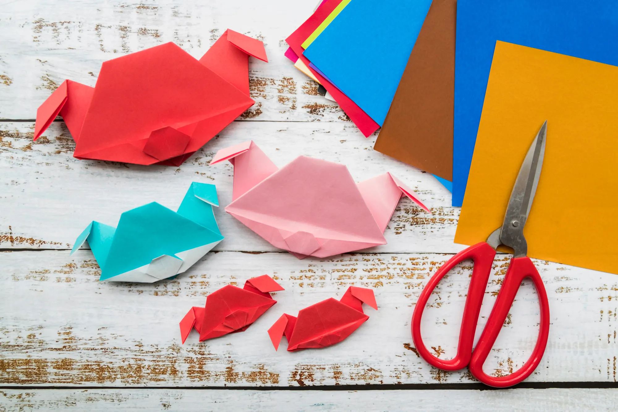 Origami collection